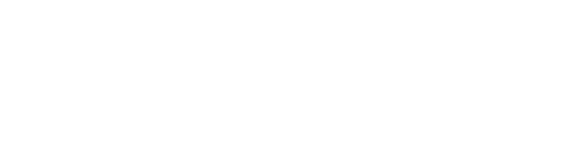 Logo EXQUISUITE Weiß 3PT